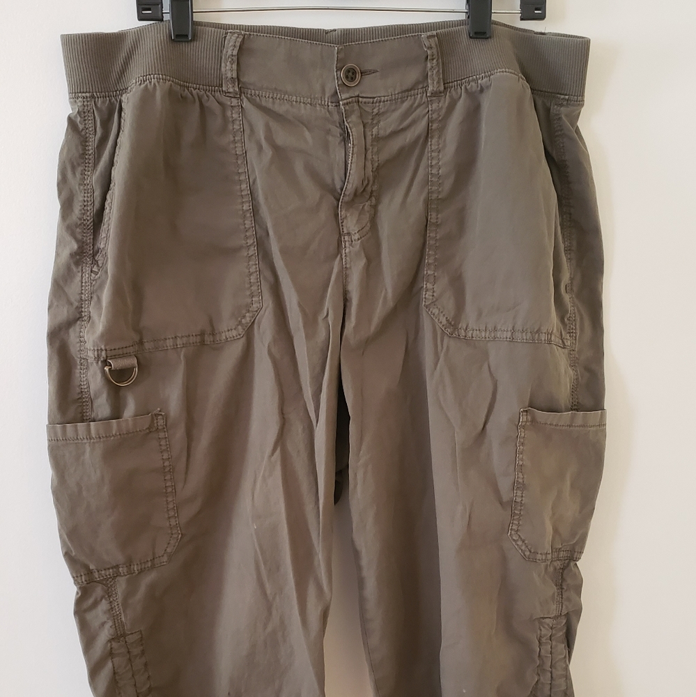 Evri 16W Cargo Shorts